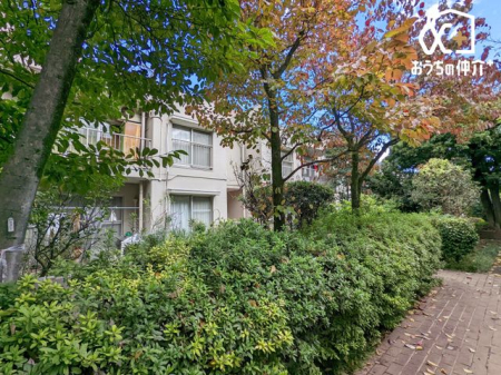 ̑ ͐ÂȊŐǍDłB炵ɂ߂̃GAłB