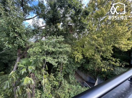 ̑ oRj[̒]łB؁XɈ͂܂ꂽZ