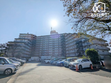 nOώʐ^ zӂՐÂȏZnŐVX^[gIꂽ͑ž𗁂тătbVIVn߂̂ɂ҂̕ɂȂ肻łˁBłw܂̂ŁA₢킹B