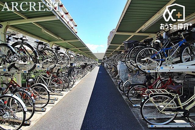 ���̑� ���֏�͉����t���ŉJ�̓��ł��G��邱�ƂȂ����S�ł��B�܂��A�Ă͏����z�˂�������򉻂�����Ă���܂��B