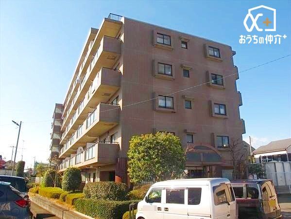 ���̑� ���̑����n