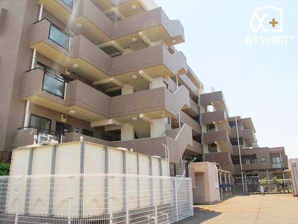 ���̑� ���̑����n