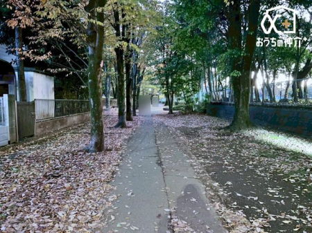 nOώʐ^ 悤ȐwiɁAXƘȂޓ@́Az̉b𑶕Ɏ󂯂BLт₩ŊJIȒ]ƁAՂƍ~蒍zɁAɏZ܂ґƎĒ܂