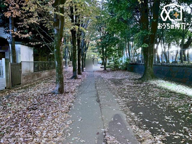 nOώʐ^ 悤ȐwiɁAXƘȂޓ@́Az̉b𑶕Ɏ󂯂BLт₩ŊJIȒ]ƁAՂƍ~蒍zɁAɏZ܂ґƎĒ܂