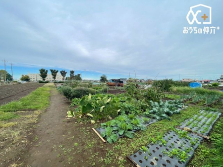 ���̑� �����Ј�x���n��������������