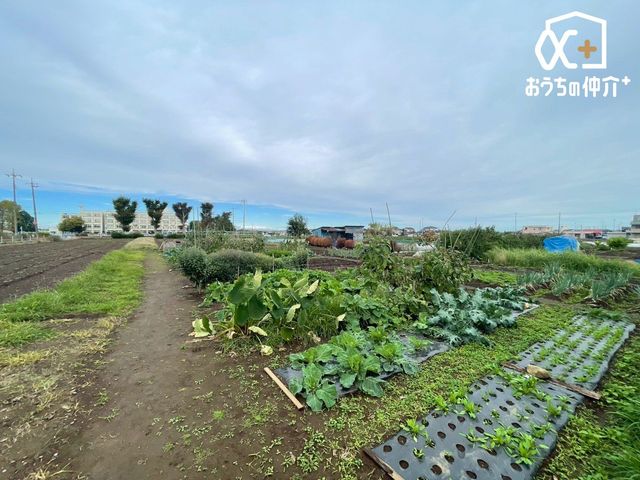 ���̑� �����Ј�x���n��������������