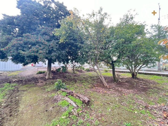 ���̑� �������͗��Ă��܂���