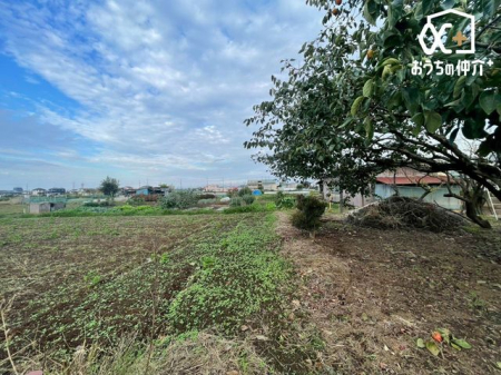 ���̑� �����ӂ͊ՐÂȏZ��X�ł��B