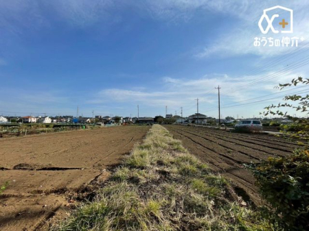 ���̑� ���_������