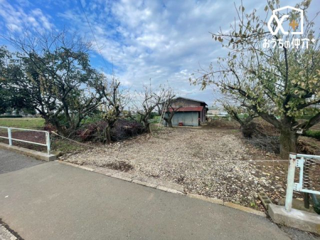 ���n�y�n�ʐ^ ������Ƃ��������Ɂ��S5��悠��