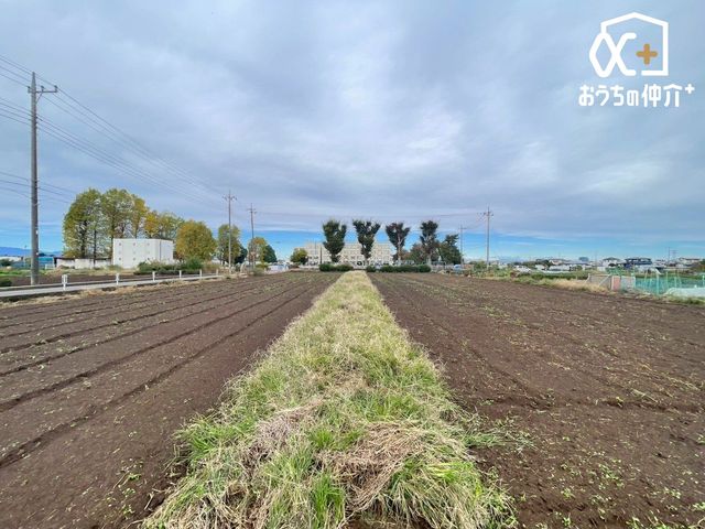 ���̑� ���S�̓I�Ȍi�F