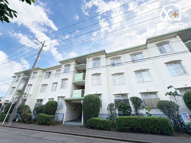 ̑ ͋CYZXBƕ炵ɂ߂AÂŐSnǂZɂȂĂ܂BFl̂₢킹҂Ă܂I