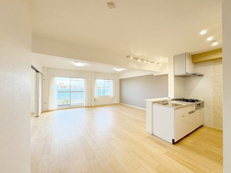 rO Ƒc̎߂kcj̗lqBƑRƏW܂肽Ȃ悤ȁAƂ낰ԂłB邢z˂ޖ̋ԁB