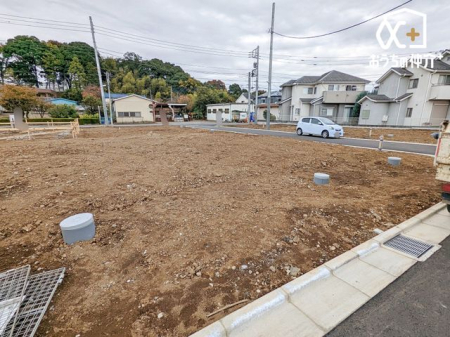 ̑ 搮n̕Ȃ̂ŁASKȓH͎qĂSłB