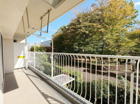 oRj[ 炩ȗz˂~oRj[BwiɐSn悢Ă܂BO֏oĊJ𖡂킦ԂłB