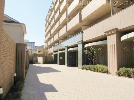 GgX A͂YȃGgX̗lqłB