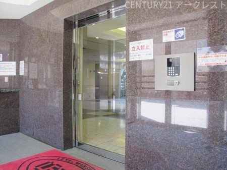 ̑ hƖʂňS̃I[gbN}Vł