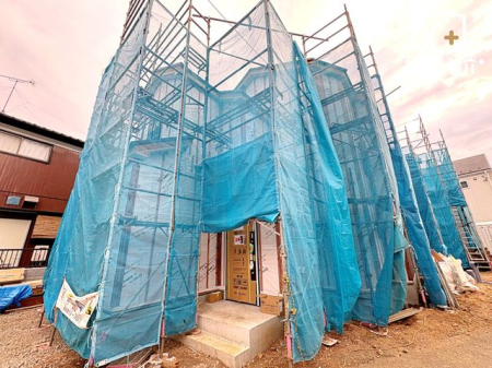 nOώʐ^ 11/27Běn̗lqł