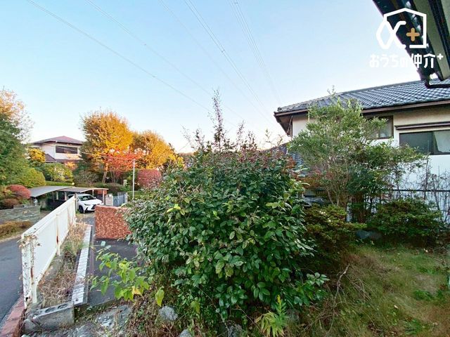 ̑ RɊuzȂvBƑ̃X^CɍZ܂ĂĂƂ\łBCyɂkB