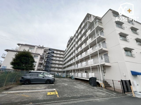 ���̑� �T���ɁA���Ƒ��E���F�l���U�����킹�̏�A���n�������ɂȂ��Ă݂܂��񂩁H���ӊ��ƍ��킹�Ă��ē��v���܂��I