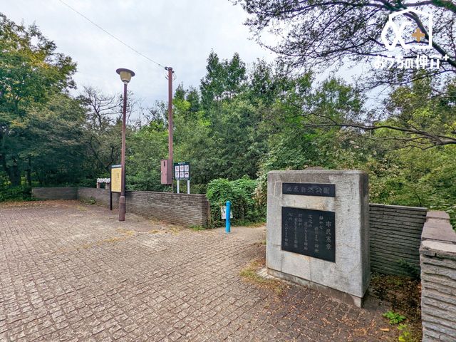 ӊ R k7Bs₫ۈ牀ɗאڂsBPLNkM̖؂΂AȐX̂悤ȕ͋CBGؗтɂ́ARQ⃀NhȂǂ̖쒹Ă܂B 490m