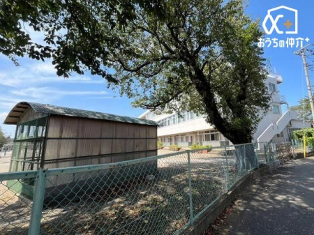 ���ӊ� ���v���Ďs����񏬊w�Z �k��12���B�w���琔���Ƃ������n�����ɂ�������炸�C�w�Z�̎��͂ɂ͔����_�݂����������b�܂ꂽ������ɂ���܂��B 920m