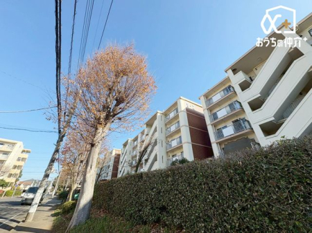 nOώʐ^ ΂RLȏZ̂Z܂B