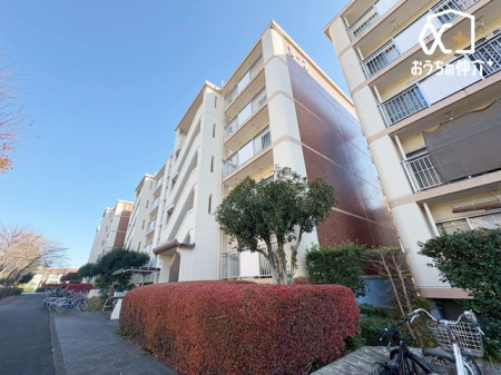 ̑ ͋CYZXBƕ炵ɂ߂AÂŐSnǂZɂȂĂ܂BFl̂₢킹҂Ă܂I