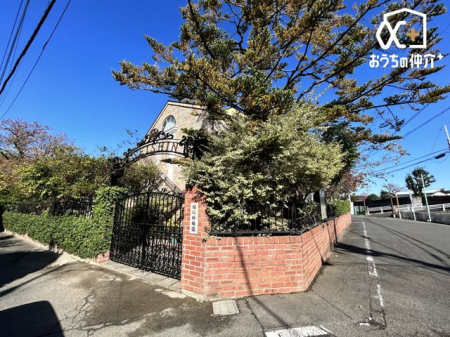 ���ӊ� ���S�c�t�� �k��20���B 1550m