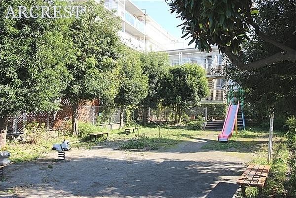 ���̑� �~�n�������̗l�q�B