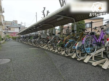 ̑ ֏͉tŉJ̓łG邱ƂȂSłB܂AĂ͏z˂򉻂Ă܂B