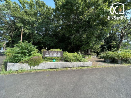 ӊ ZΒn k7B炬Ă̂ŉĂɂ͗X|bgłBrɂ͏A肪ɂA{ȂǗlXȐĂ܂B 500m