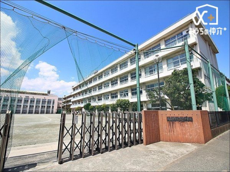 ӊ sꒆwZ k15B 1200m