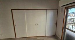 ̑ LDKƐQ̔łBJ16.5̃[ƂĂg܂B