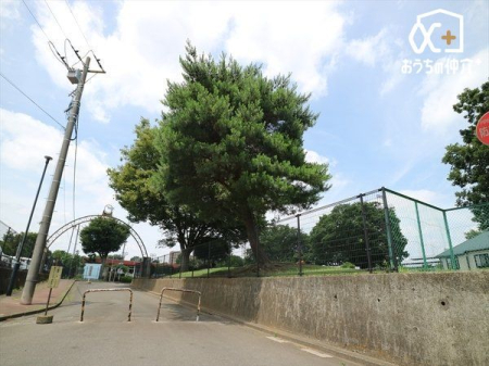 ���ӊ� �����R�s�^������ �k��6���B�L�X�Ƃ����ΖL���ȑ�^�^�������B�e�j�X�R�[�g�A�싅��A���㋣�Z��A�W���M���O�R�[�X�A�ď�͉��O�v�[������B 460m