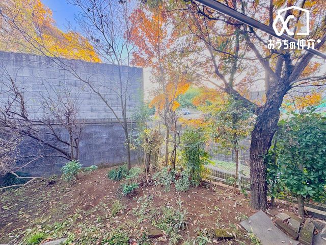 ���̑� �΂Ɉ͂܂ꂽ����ł�BBQ���y���߂܂�