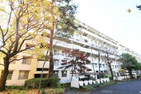 ̑ TɁAƑEFlU킹̏AnɂȂĂ݂܂񂩁Hӊƍ킹Ăēv܂I