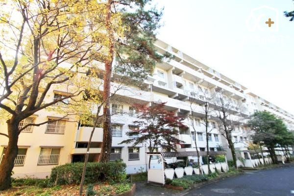 ̑ TɁAƑEFlU킹̏AnɂȂĂ݂܂񂩁Hӊƍ킹Ăēv܂I