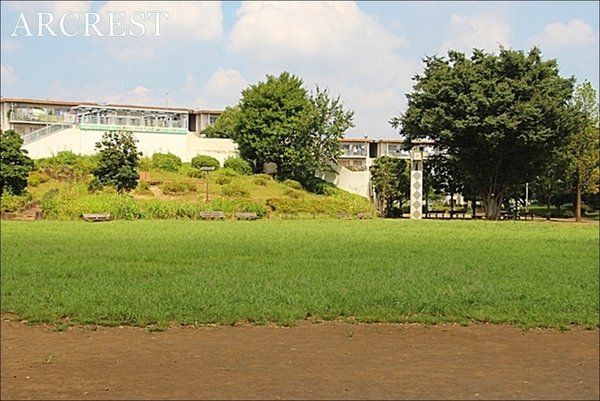 ���ӊ� ��������� �k��14���B�J���ʐρF��16671�������[�g�� �V��F�u�����R�A1��]���ׂ��A�W�����O���W���A�S�_�A����A���b�L���p�b�s�[ 1060m