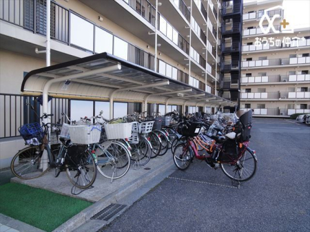 ���̑� ���֏�͉����t���ŉJ�̓��ł��G��邱�ƂȂ����S�ł��B�܂��A�Ă͏����z�˂�������򉻂�����Ă���܂��B