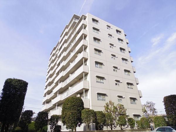 ���̑� ���ԏ�̗l�q