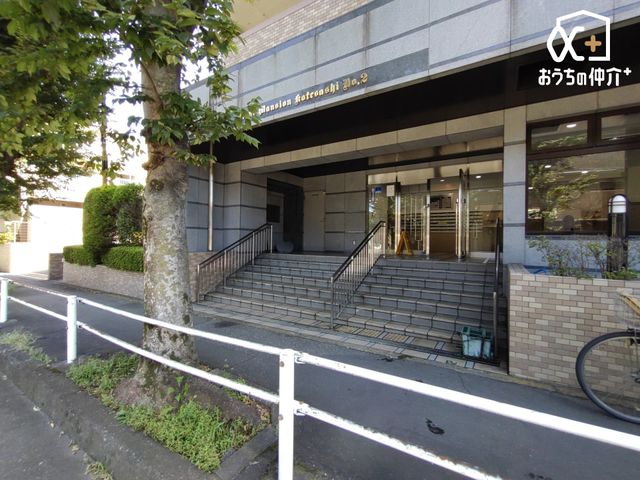 ���̑� ���}���V�����O�̗l�q