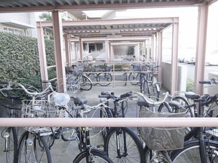 ���̑� ���֏�͉����t���ŉJ�̓��ł��G��邱�ƂȂ����S�ł��B�܂��A�Ă͏����z�˂�������򉻂�����Ă���܂��B