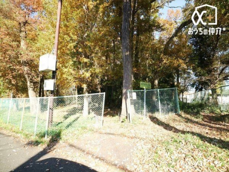 ���ӊ� ���ˎ��R���� �k��12���B�����s������1���ځu�O���[���^�E�����ˁv�����_�t�߂̎��R�����B�t�͐V�΁A�Ă͗������A�H����~�ɂ����Ă͍g�t���y���߂܂��B 900m