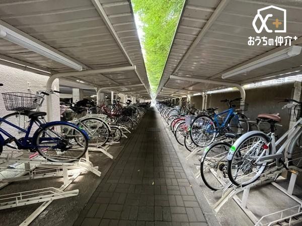 ���̑� ���֏�̗l�q�ł��B