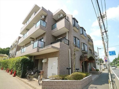 ���̑� ���̑����n