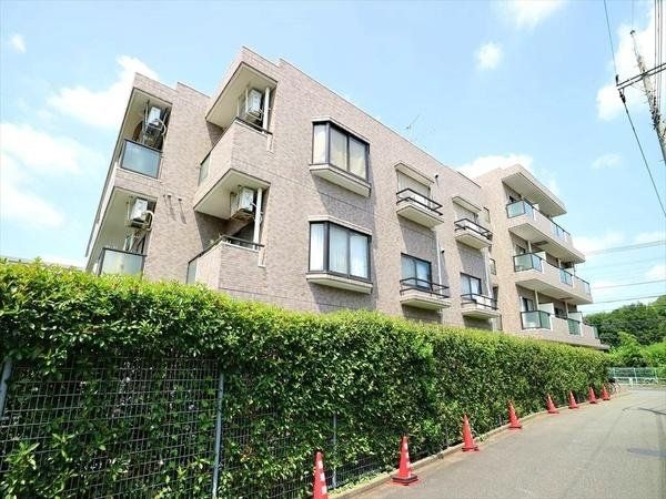 ���̑� ���̑�