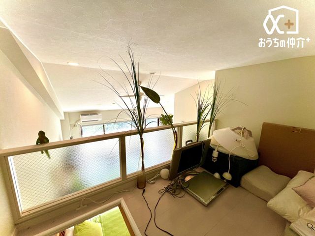 ���[ ���t�g�̗l�q�ł�