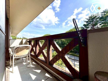 �o���R�j�[ �o���R�j�[�͗z�����������Ղ�ƍ������݁A�Ƃ��Ă��C�����̗ǂ���ԂɂȂ��Ă��܂�