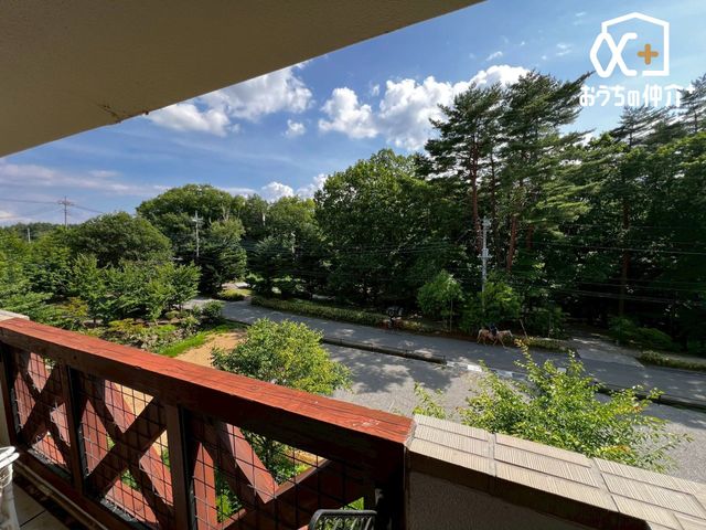 ���̑� ����Ɨ΂̃R���g���X�g�������̒��]�ł�